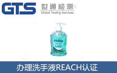 辦理洗手液REACH認(rèn)證