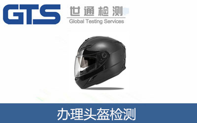 辦理頭盔檢測