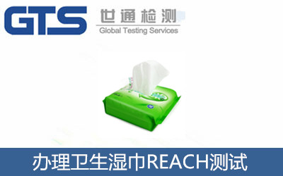 辦理衛(wèi)生濕巾REACH測試