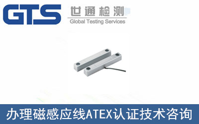 磁感應(yīng)線ATEX認證