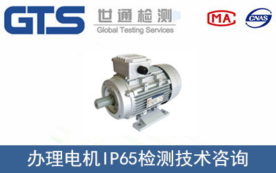 電機(jī)IP65檢測(cè)