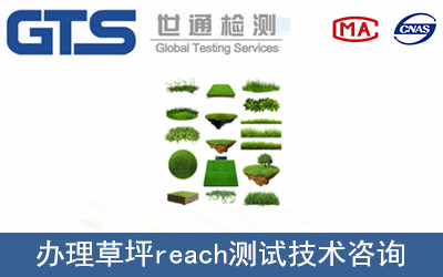 草坪reach測(cè)試