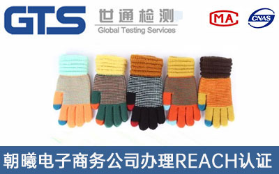 手套REACH認(rèn)證