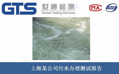 污水測試報告
